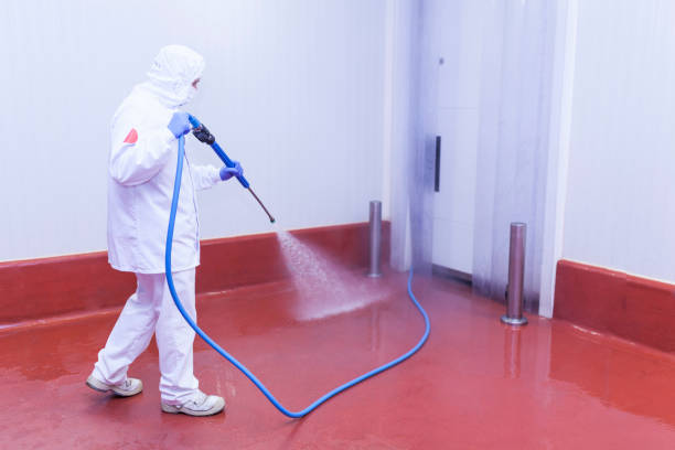 Best Driveway Pressure Washing  in Merrick, NY